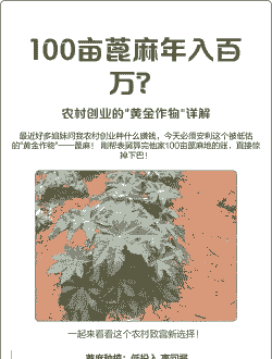 蓖麻子的亩产量是多少