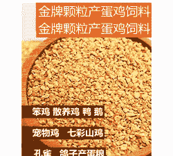 蛋鸡多少斤饲料产一斤蛋