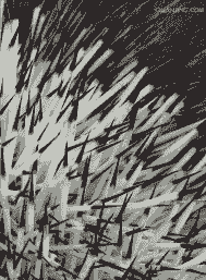 豪猪刺的根多少钱一斤