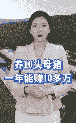 10头母猪一年赚多少钱