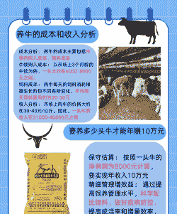 牛养殖一头能赚多少钱