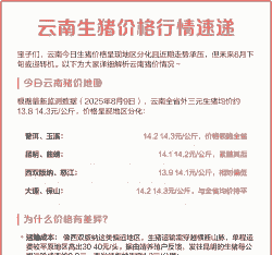 云南省生猪多少钱一斤