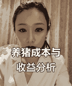 一千头猪一年赚多少钱