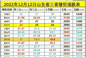 山东省猪多少钱一条