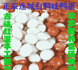 连城白鹜鸭多少钱一只