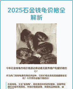 金钱龟大约多少钱一个