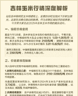 吉林市玉米多少钱一斤