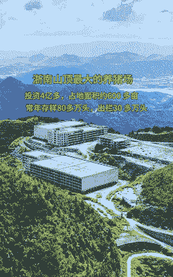 浙江省有多少个种猪场