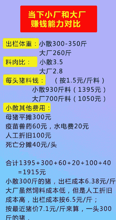 养猪一年能挣多少钱啊