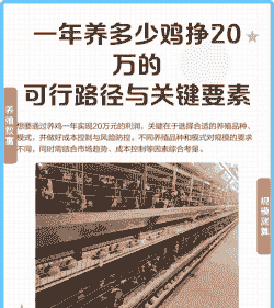 肉鸡一年能赚多少钱