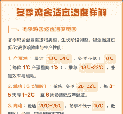 冬季肉鸡温度