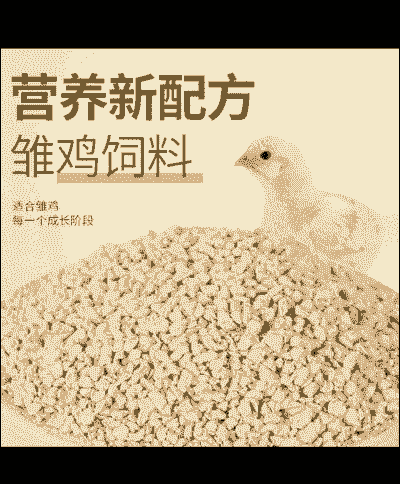 肉鸡喂那种饲料