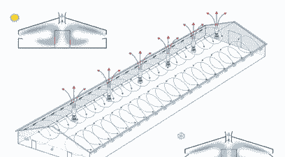 笼养肉鸡通风技巧