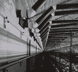 肉鸡育雏期的通风