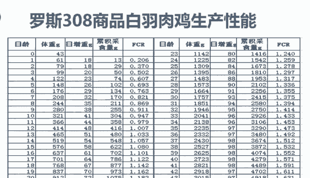 白羽肉鸡采食量多少