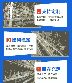 肉鸡笼养设备报价