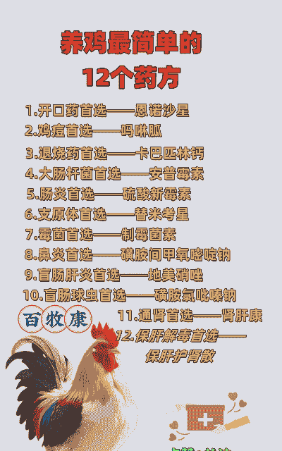 肉鸡低血糖治疗方法