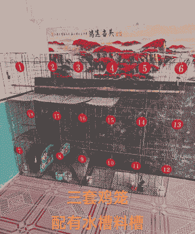 肉鸡养殖设备笼子价格