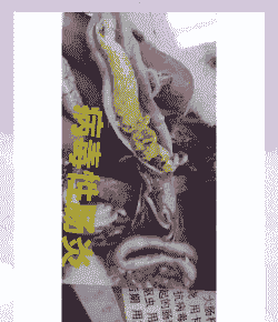 肉鸡肠炎有哪些症状