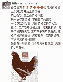 肉鸡价格会涨吗