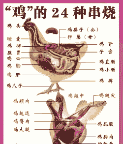 肉鸡的生理特点