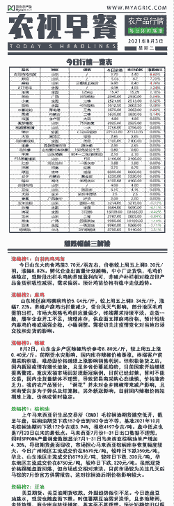 肉鸡幼鸡苗价格