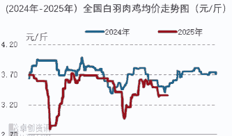 白羽肉鸡毛鸡价格走势