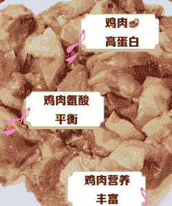 肉鸡营养过剩会怎样