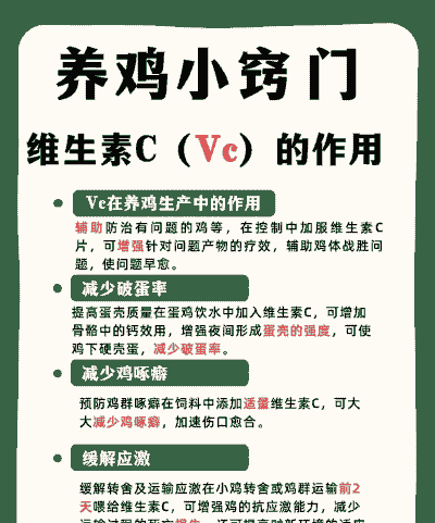 vc在肉鸡上的作用