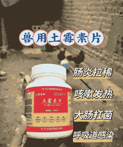 肉鸡抗病毒药物