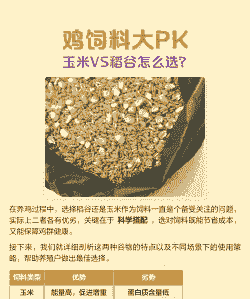 肉鸡浓缩料与玉米配比