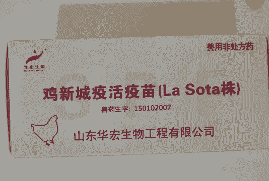 肉鸡抗病毒药有几种