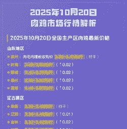 目前肉鸡的行情怎么样