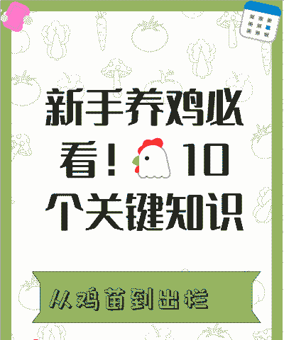 肉鸡养殖技术的基本知识