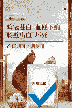 肉鸡球虫药什么时间用