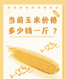湖北新玉米价格