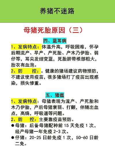 母猪产后病因