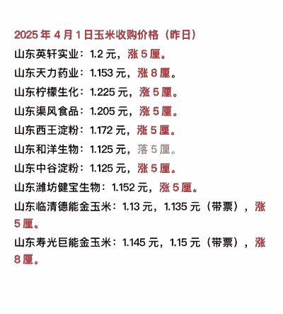 今曰山东菏泽玉米价格