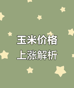 河北省玉米价格趋势
