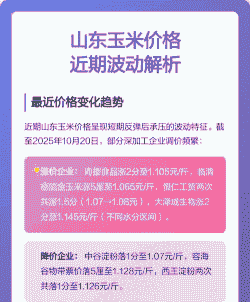 山东玉米价格趋势