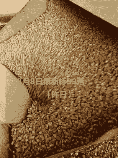 华北最新玉米价格