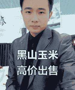 锦州黑山的玉米价格