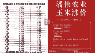 阜新县市玉米价格