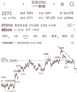 辽宁未来玉米价格走势