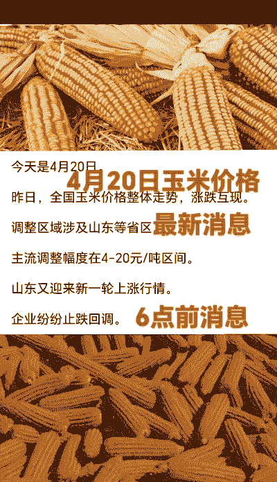 玉米价格啥时候上涨