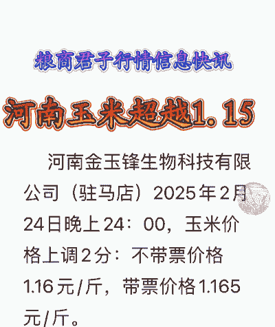 河南今年玉米价格多少
