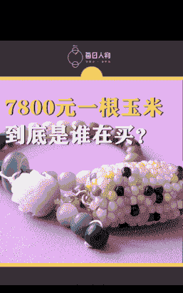 文山玉米价格多少钱