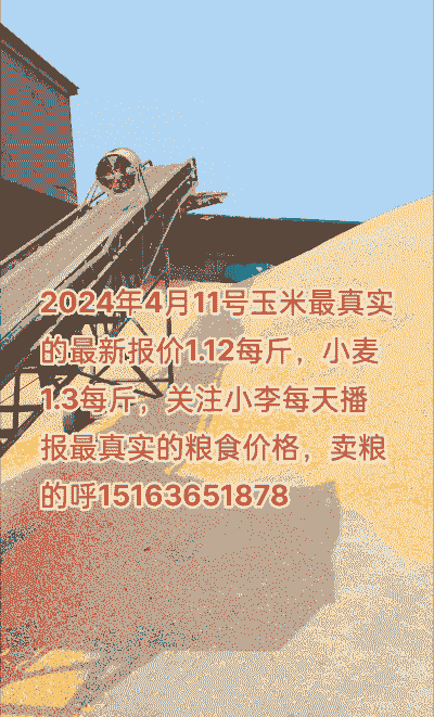 今年吉林省玉米价格