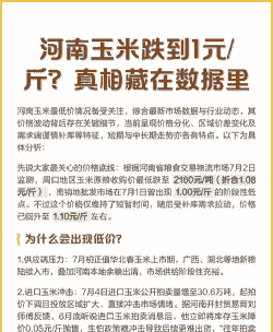 河南省周口 玉米价格