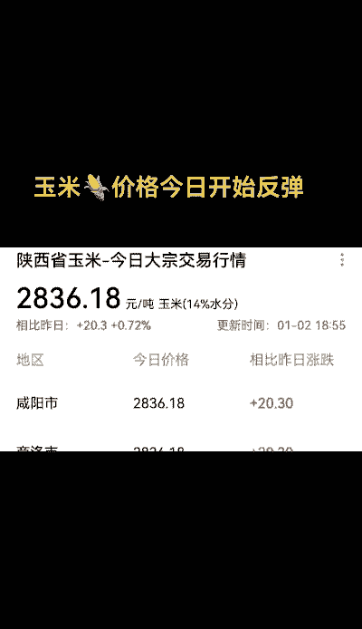 最近陕西省玉米价格